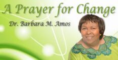 Dr Barbara M Amos Fdcc